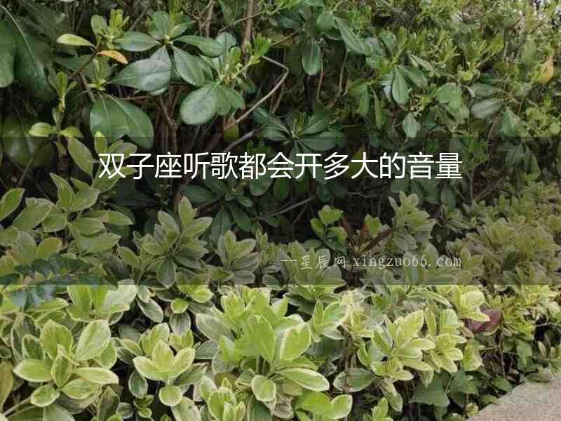 雙子座聽歌都會開多大的音量