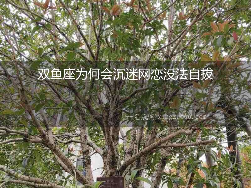 雙魚座為何會(huì)沉迷網(wǎng)戀?zèng)]法自拔