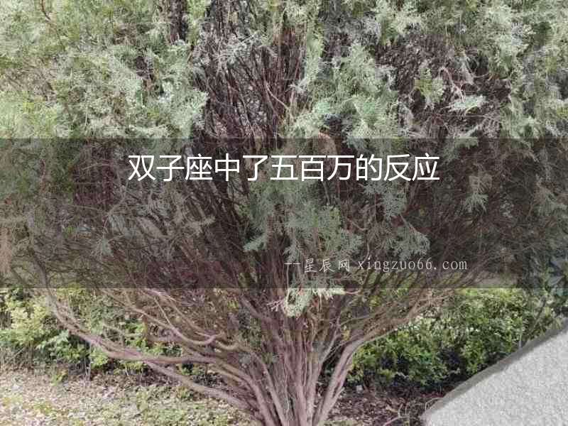 雙子座中了五百萬的反應
