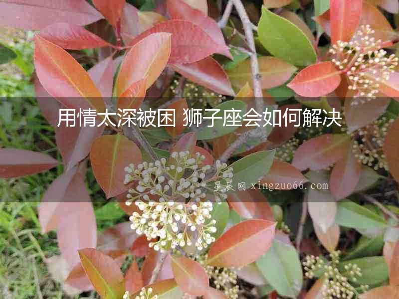 用情太深被困 獅子座會如何解決