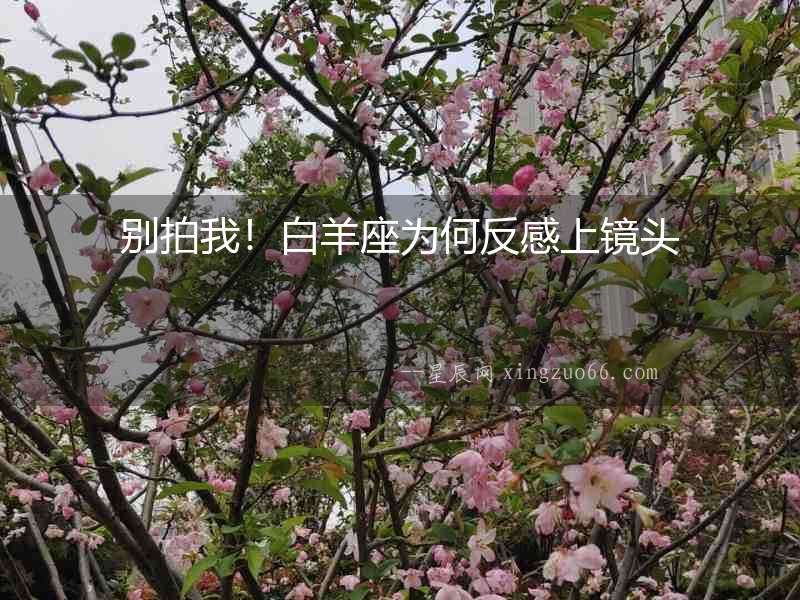 別拍我！白羊座為何反感上鏡頭