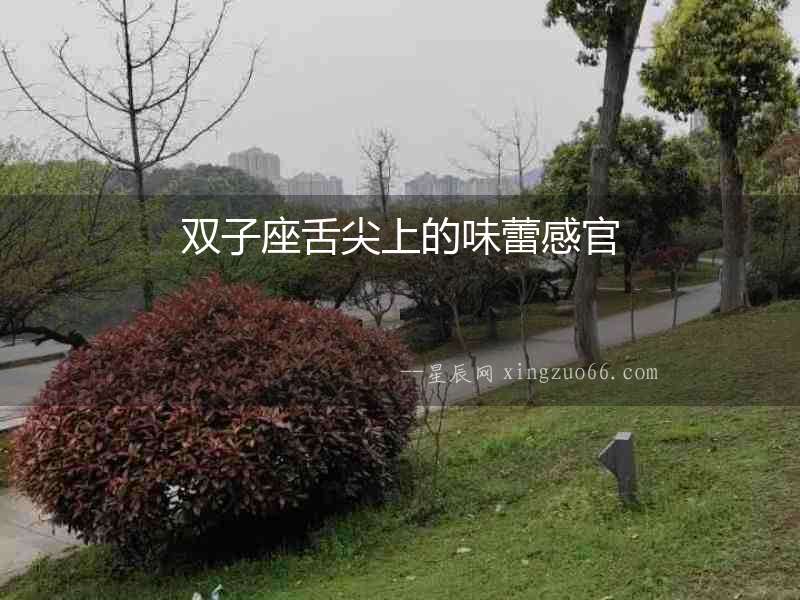 雙子座舌尖上的味蕾感官