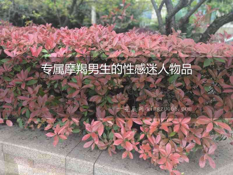 專屬摩羯男生的性感迷人物品