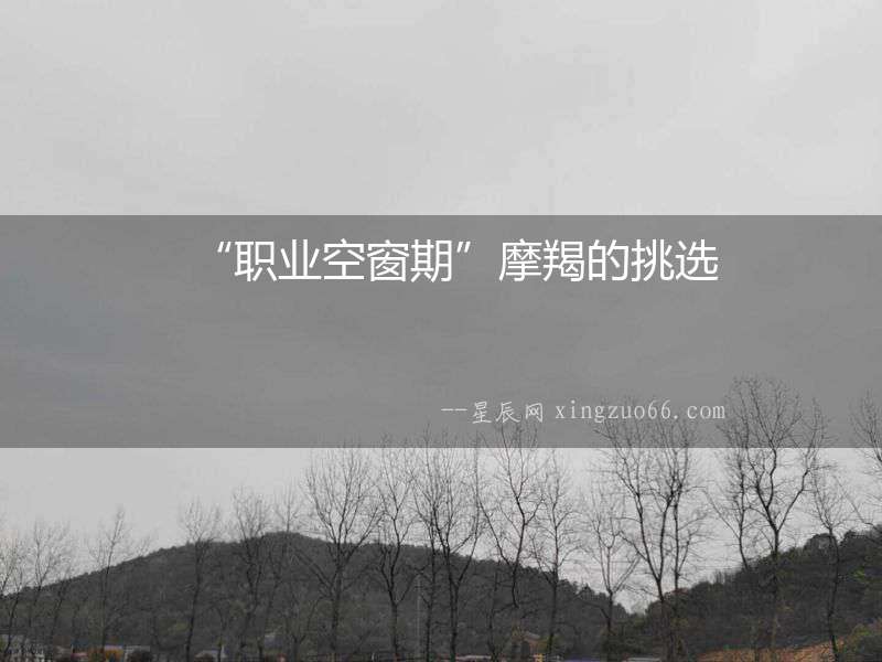 “職業(yè)空窗期”摩羯的挑選