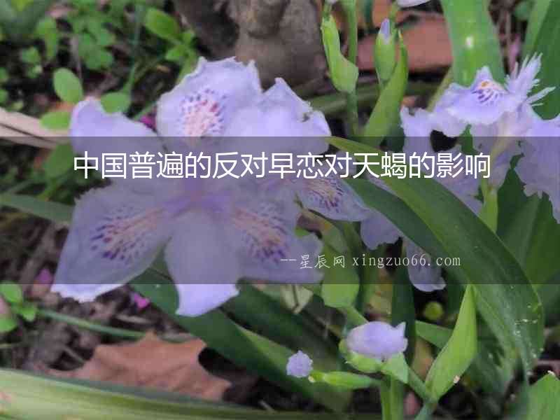 中國普遍的反對早戀對天蝎的影響