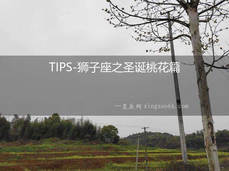 TIPS-獅子座之圣誕桃花篇