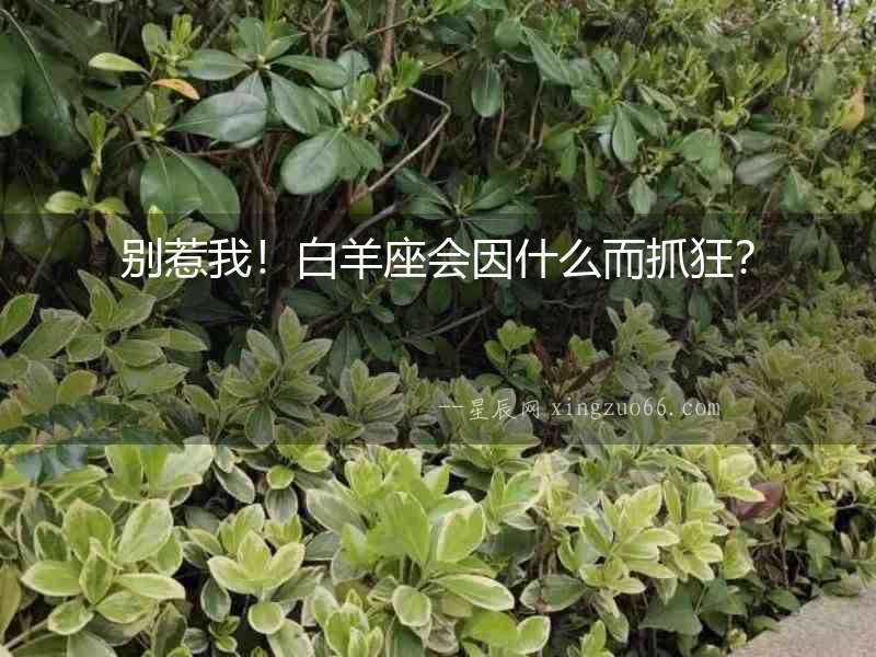 別惹我！白羊座會因什么而抓狂？
