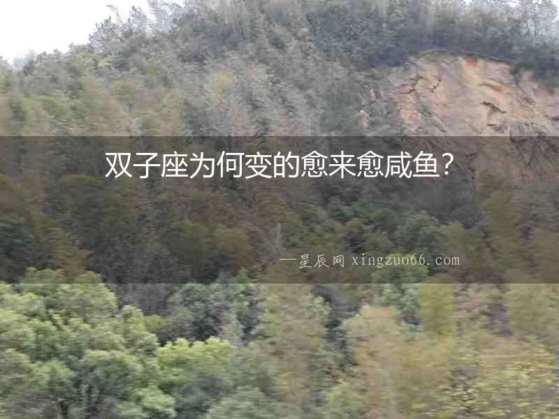 雙子座為何變的愈來愈咸魚？