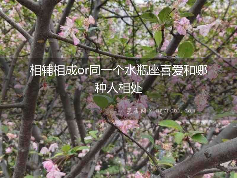 相輔相成or同一個水瓶座喜愛和哪種人相處