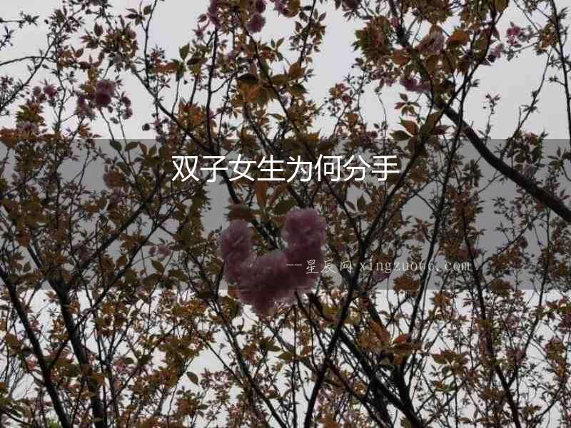 雙子女生為何分手