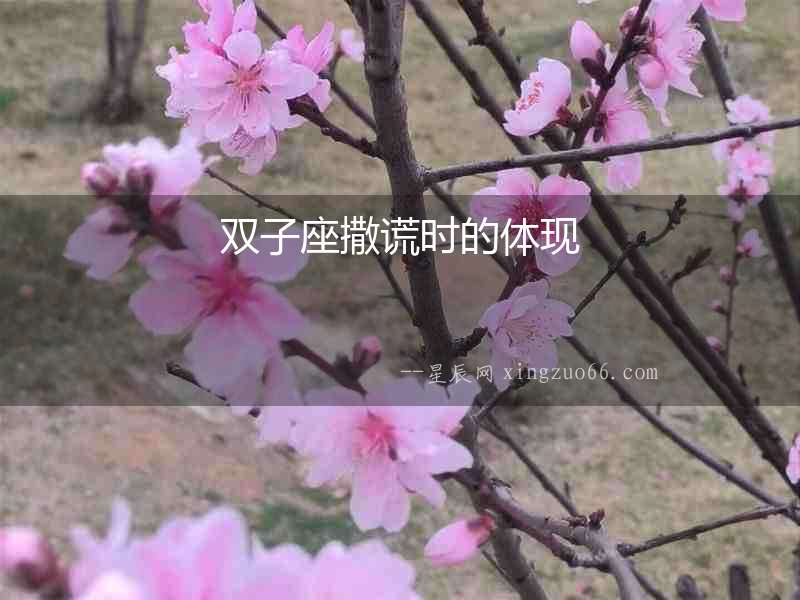 雙子座撒謊時的體現