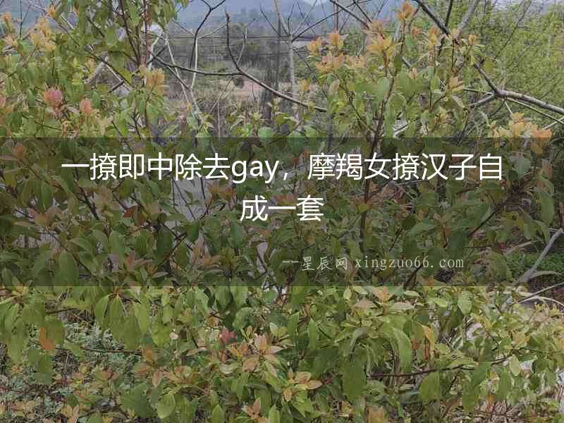 一撩即中除去gay，摩羯女撩漢子自成一套