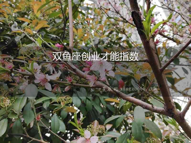 雙魚座創業才能指數
