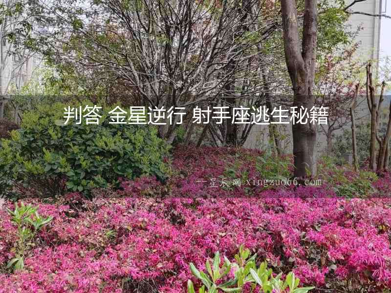 判答 金星逆行 射手座逃生秘籍