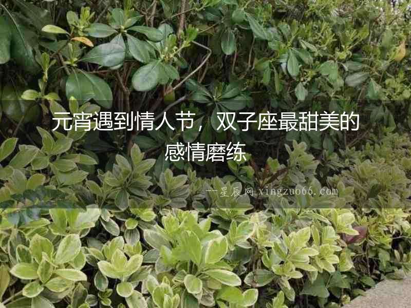 元宵遇到情人節，雙子座最甜美的感情磨練