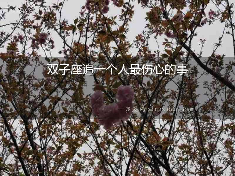 雙子座追一個人最傷心的事