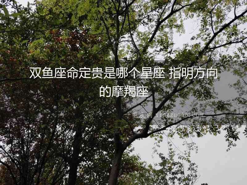 雙魚(yú)座命定貴是哪個(gè)星座 指明方向的摩羯座
