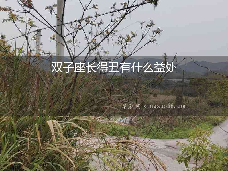 雙子座長得丑有什么益處