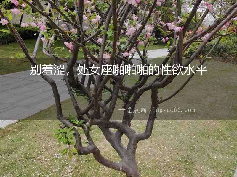 別羞澀，處女座啪啪啪的性欲水平