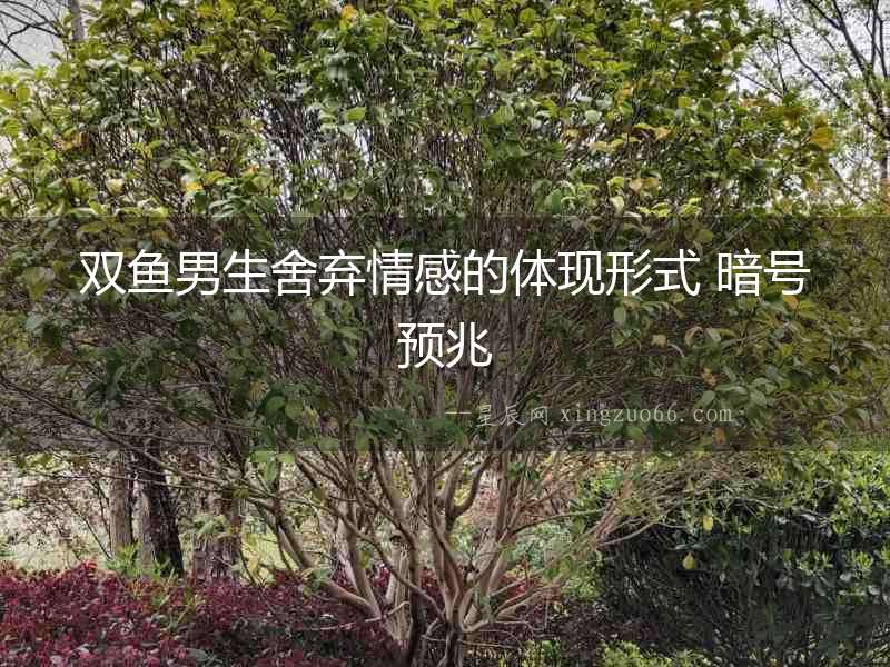 雙魚男生舍棄情感的體現形式 暗號預兆