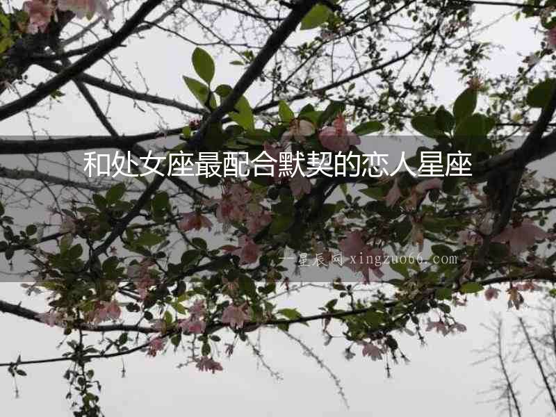 和處女座最配合默契的戀人星座