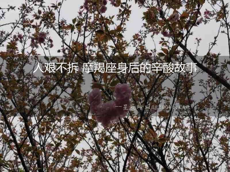 人艱不拆 摩羯座身后的辛酸故事