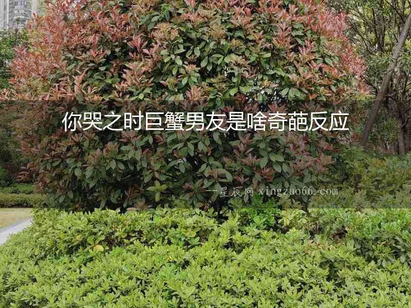你哭之時(shí)巨蟹男友是啥奇葩反應(yīng)