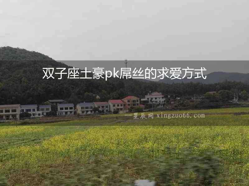 雙子座土豪pk屌絲的求愛方式
