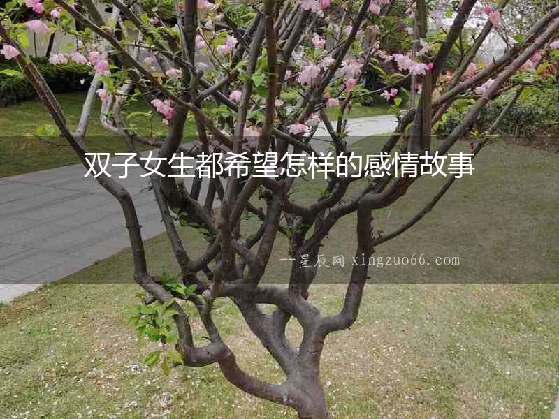 雙子女生都希望怎樣的感情故事