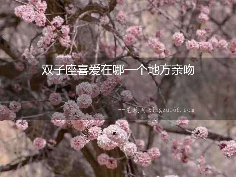 雙子座喜愛在哪一個地方親吻