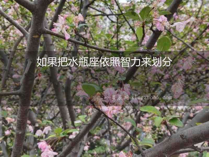 如果把水瓶座依照智力來劃分
