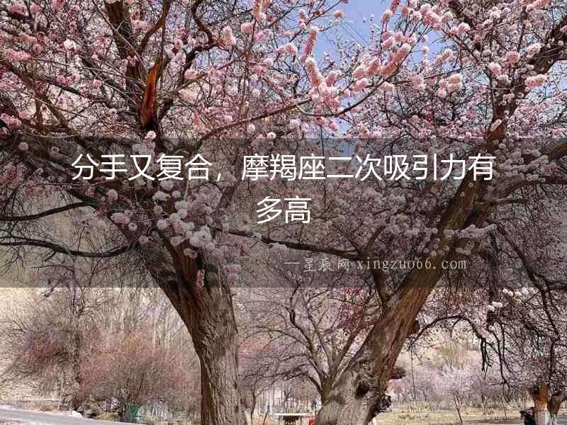 分手又復合，摩羯座二次吸引力有多高