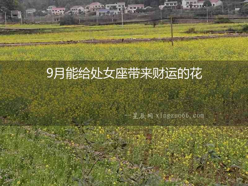 9月能給處女座帶來財運的花