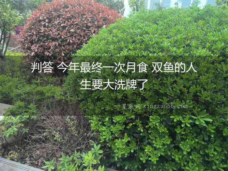 判答 今年最終一次月食 雙魚的人生要大洗牌了