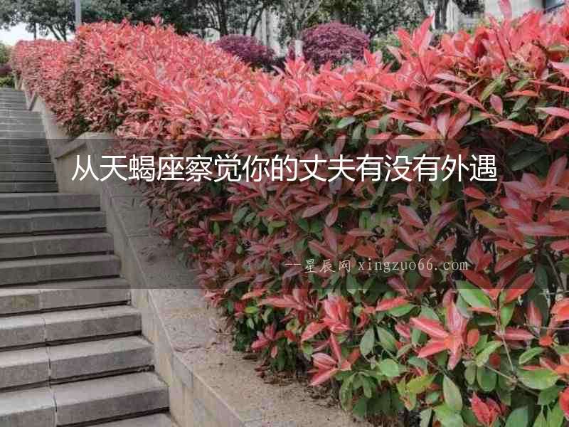 從天蝎座察覺你的丈夫有沒有外遇