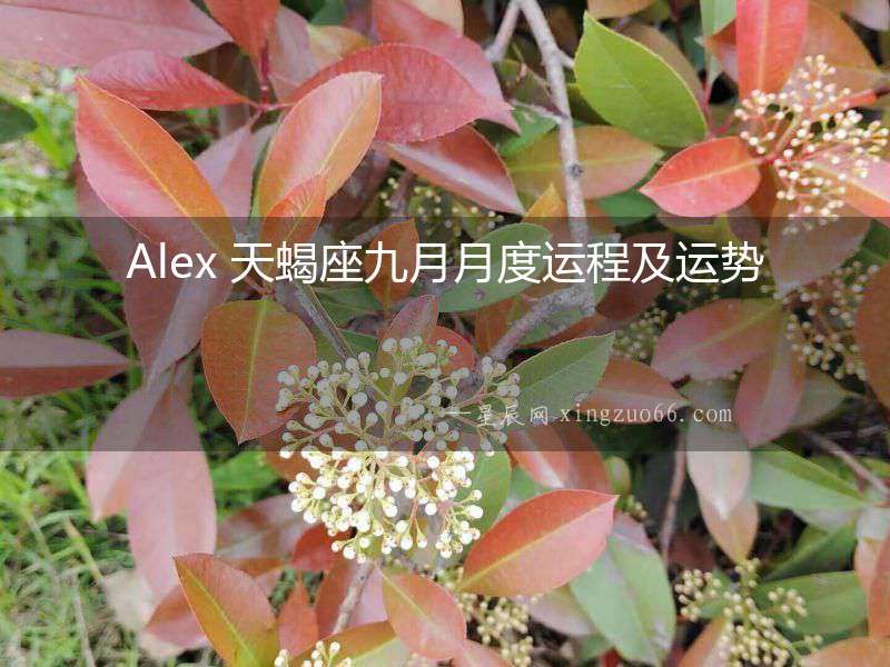 Alex 天蝎座九月月度運程及運勢