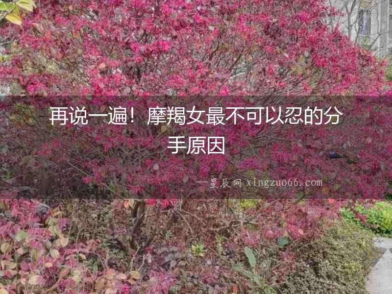 再說一遍！摩羯女最不可以忍的分手原因