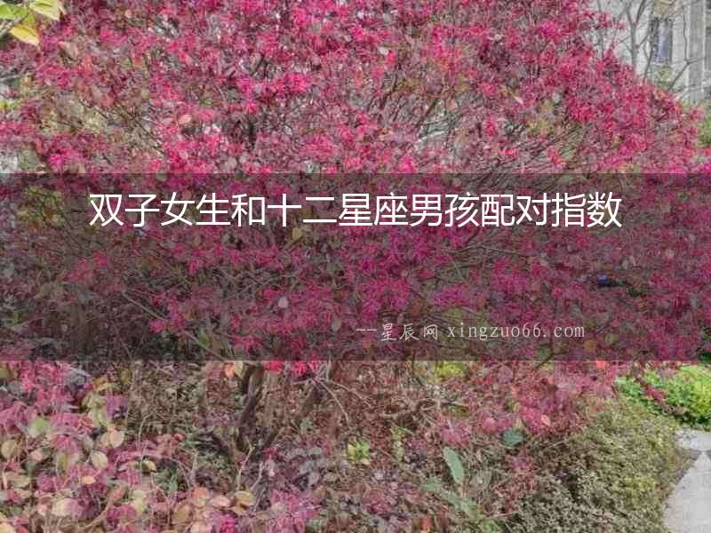 雙子女生和十二星座男孩配對指數