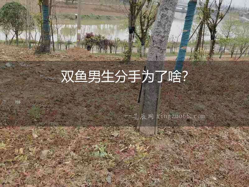 雙魚男生分手為了啥？