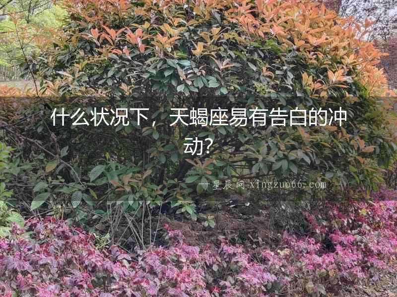 什么狀況下，天蝎座易有告白的沖動？