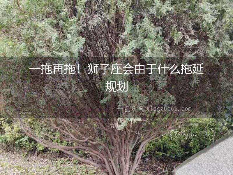 一拖再拖！獅子座會由于什么拖延規劃