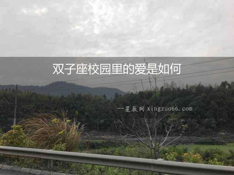 雙子座校園里的愛是如何