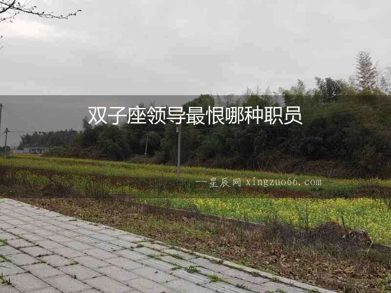 雙子座領導最恨哪種職員