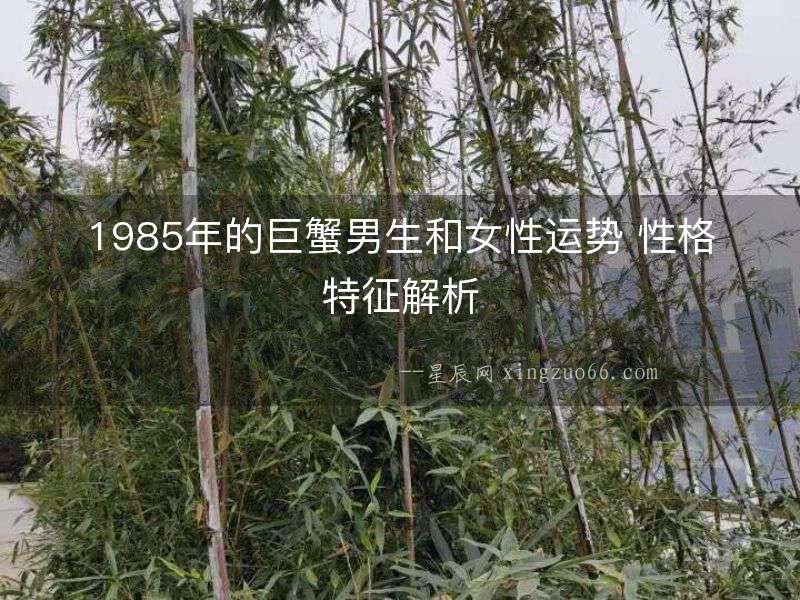 1985年的巨蟹男生和女性運勢 性格特征解析
