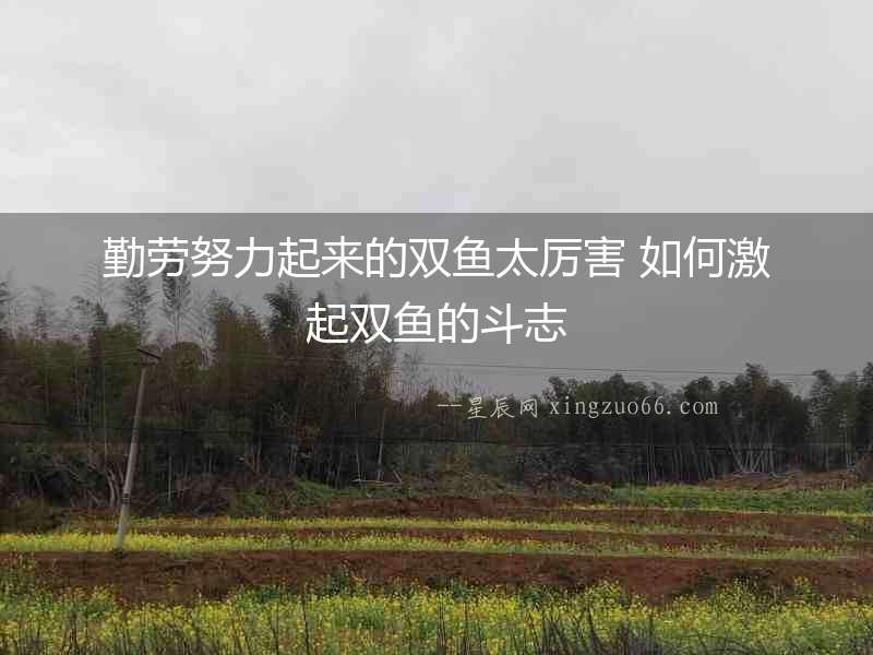 勤勞努力起來的雙魚太厲害 如何激起雙魚的斗志