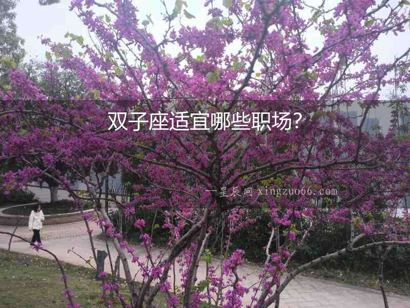 雙子座適宜哪些職場？