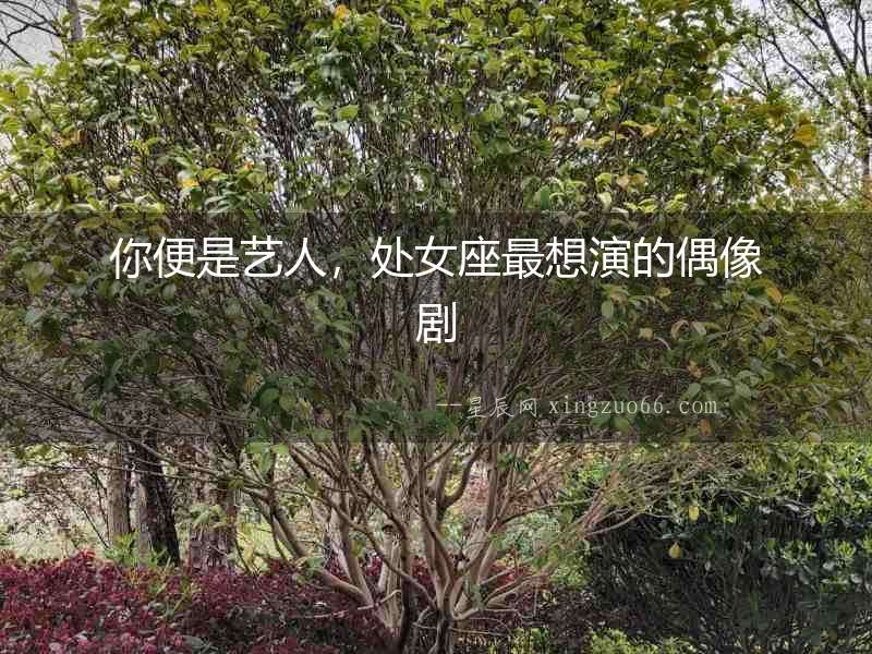 你便是藝人，處女座最想演的偶像劇