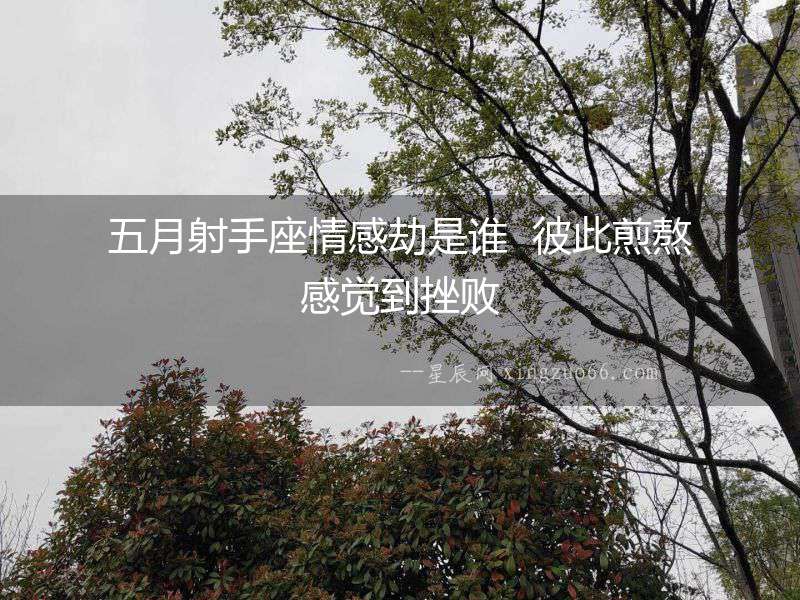 五月射手座情感劫是誰  彼此煎熬感覺到挫敗