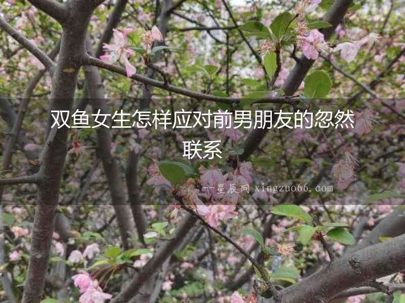 雙魚女生怎樣應對前男朋友的忽然聯系