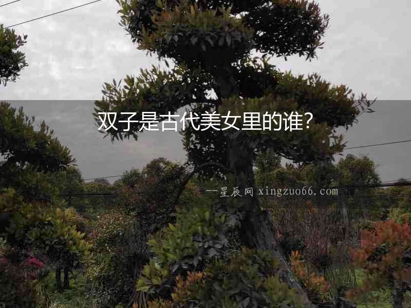 雙子是古代美女里的誰？